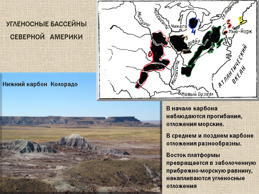 Угленосные бассейны Северной Америки Нижний карбон Колорадо В начале карбона наблюдаются прогибания, отложения морские.